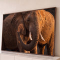 Elefante africano em close com presas de marfim, tromba curvada e poeira na luz dourada, quadro decorativo