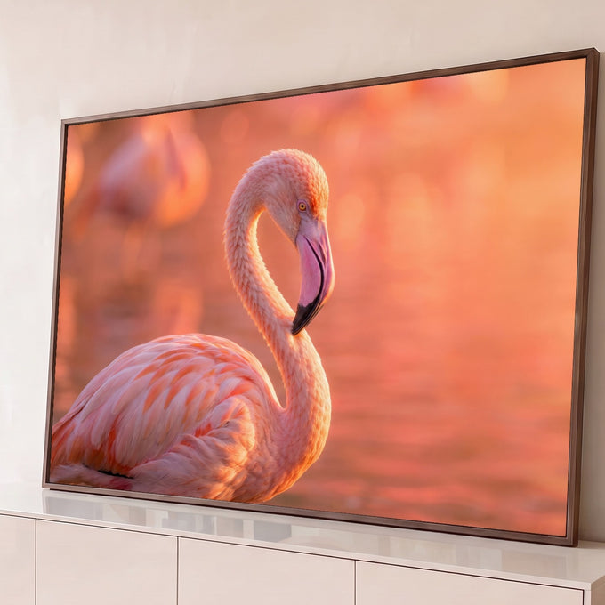 Flamingo rosa de pescoço curvado em lago com luz do entardecer e fundo desfocado, quadro decorativo