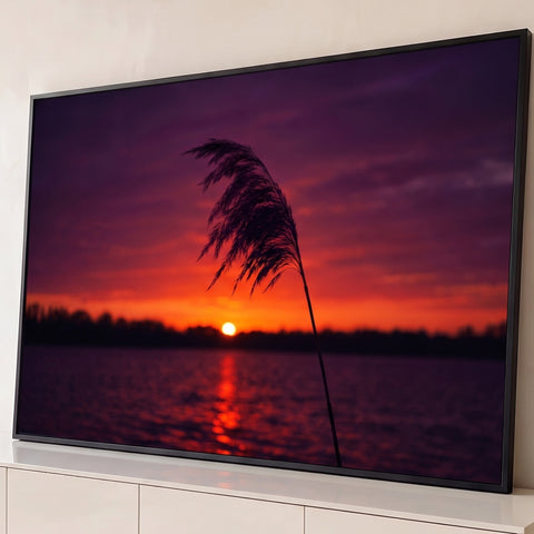 Silhueta de junco contra pôr do sol roxo e laranja refletido no lago, quadro decorativo