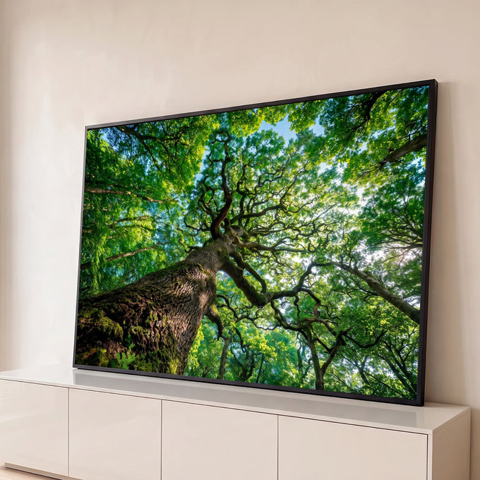 Tronco de árvore com musgo visto de baixo, copa verde e céu azul entre os galhos, quadro decorativo
