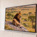 Quadro Decorativo Grande Leão Deitado para Sala Dourado | quadros decorativos para sala | leão deitado sobre rocha com juba dourada e savana ao fundo | Porao dos Quadros