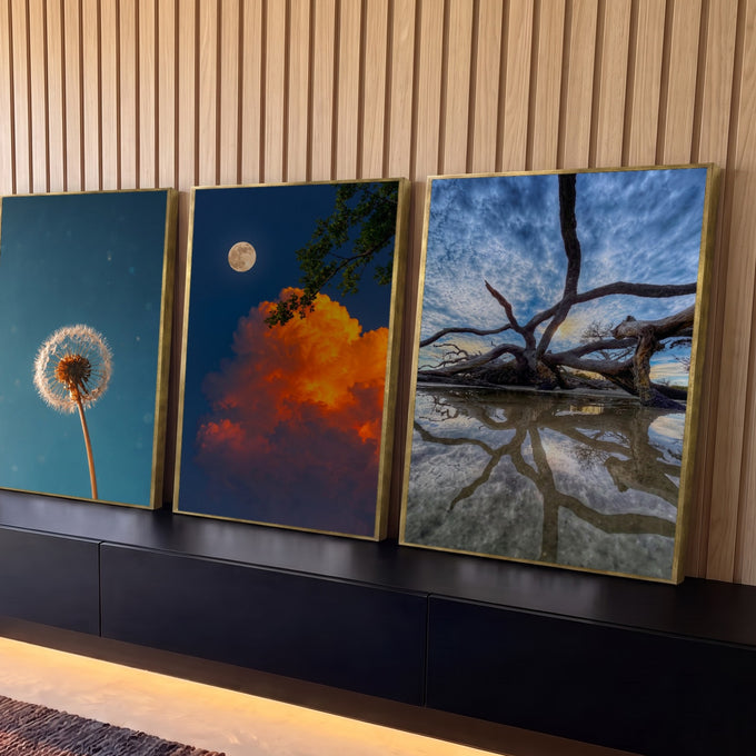 Quadro Decorativo Kit 3 Telas Paisagens com Lua para Sala | quadros decorativos para sala | três cenas de natureza dente-de-leão, lua com nuvem dourada e árvore seca refletida na água | Porao dos Quadros