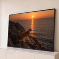 Gato laranja e branco sobre rochedo olhando o pôr do sol no mar com pássaros no céu, quadro decorativo