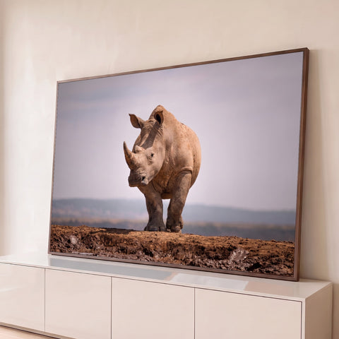 Rinoceronte caminhando de frente sobre terra de barro com céu claro e montanhas ao fundo, quadro decorativo