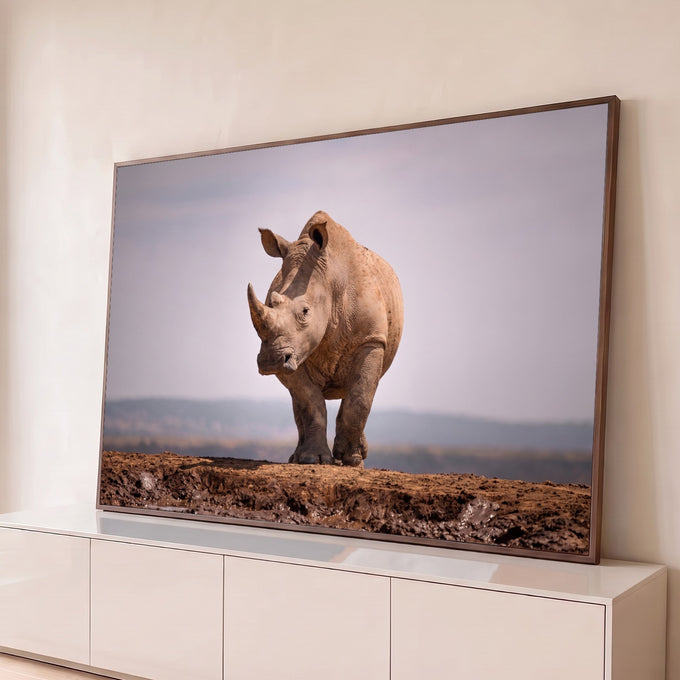 Rinoceronte caminhando de frente sobre terra de barro com céu claro e montanhas ao fundo, quadro decorativo