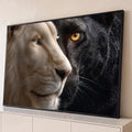 Rosto de leão branco de olhos azuis ao lado de pantera negra de olhos âmbar com gotas de água, quadro decorativo