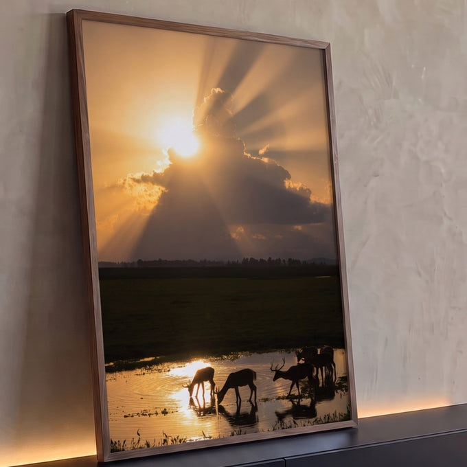 Sol entre nuvens com raios dourados e cervos em silhueta bebendo na lagoa, quadro decorativo