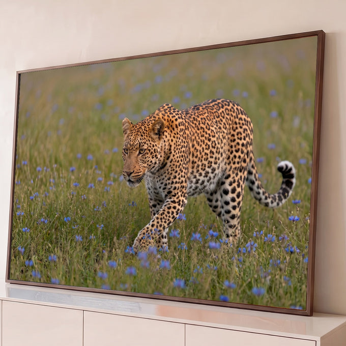 Quadro Decorativo Grande Leopardo Felino Selvagem para Sala | quadros decorativos para sala | leopardo caminhando por campo de grama com flores azuis silvestres | Porao dos Quadros