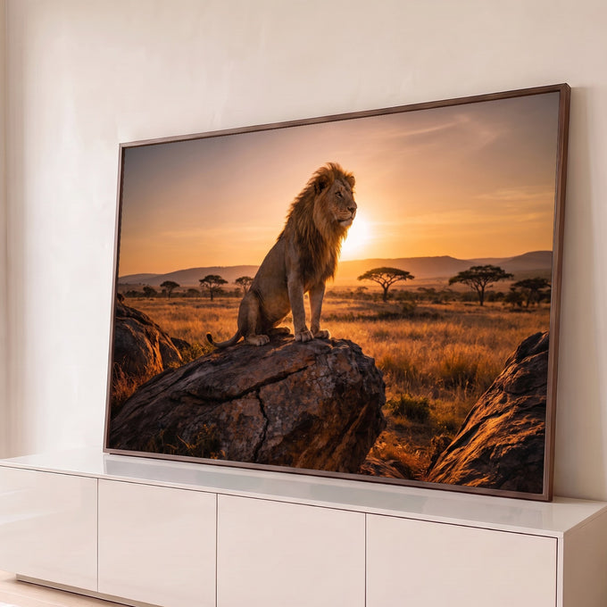 Quadro Decorativo Grande Leão na Savana Dourado para Sala | quadros decorativos para sala | leão em pé sobre rocha com juba dourada contra céu de pôr do sol na savana | Porao dos Quadros