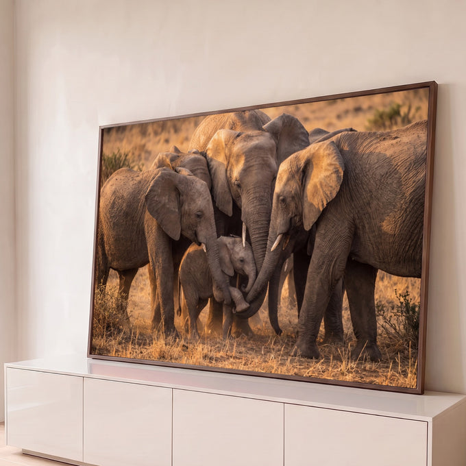 Quadro Decorativo Grande Elefantes Protegendo para Sala | quadros decorativos para sala | elefantes adultos formando círculo protetor ao redor de filhote com tromban entrelaçadas | Porao dos Quadros