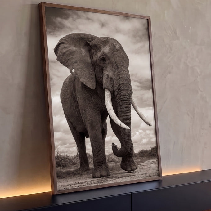Elefante africano de presas longas em fotografia sépia sob céu nublado, quadro decorativo