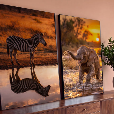 Quadro Decorativo Kit 2 Telas Zebra para Sala Laranja | quadros decorativos para sala | zebra refletida em lago e filhote de elefante brincando na água ao pôr do sol | Porao dos Quadros