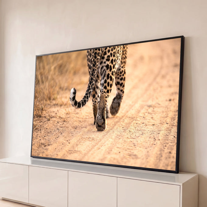 Quadro Decorativo Grande Leopardo Caminhando para Sala Bege | quadros decorativos para sala | leopardo visto de trás caminhando em estrada de terra com cauda enrolada | Porao dos Quadros