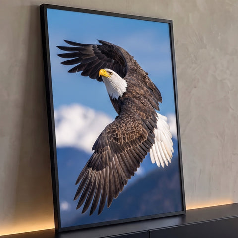 Águia-de-cabeça-branca em voo com asas abertas sobre montanhas nevadas e céu azul, quadro decorativo