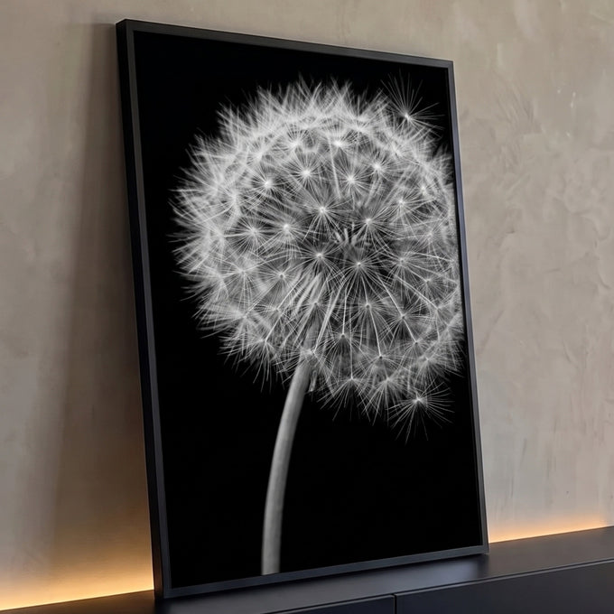 Dente-de-leão macro em preto e branco com caule curvo sobre fundo preto, quadro decorativo