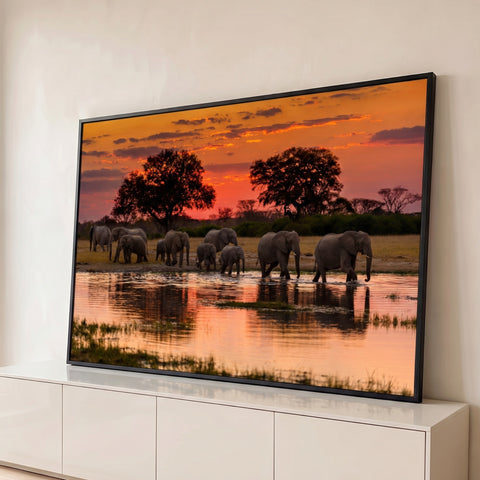 Quadro Decorativo Grande Elefantes Atravessando para Sala | quadros decorativos para sala | manada de elefantes atravessando lagoa ao pôr do sol laranja e vermelho | Porao dos Quadros