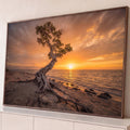 Quadro Decorativo Grande Árvore Solitária Praia para Sala | quadros decorativos para sala | árvore solitária com raízes retorcidas numa praia ao pôr do sol dourado | Porao dos Quadros