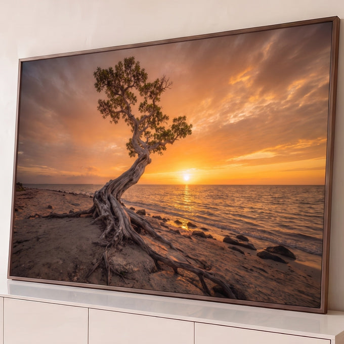 Quadro Decorativo Grande Árvore Solitária Praia para Sala | quadros decorativos para sala | árvore solitária com raízes retorcidas numa praia ao pôr do sol dourado | Porao dos Quadros