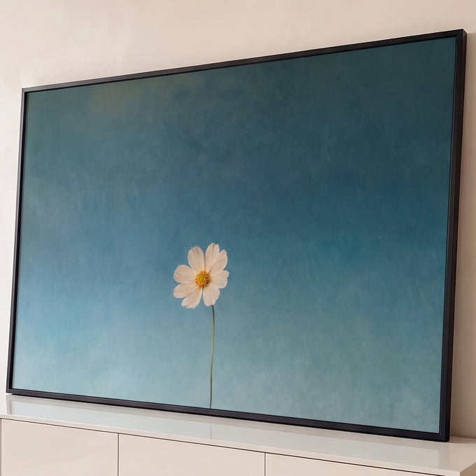 Quadro Decorativo Grande Flor Branca para Sala Azul | quadros decorativos para sala | flor branca solitária com centro amarelo sobre fundo azul texturizado | Porao dos Quadros