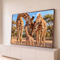 Quadro Decorativo Grande Família Savana para Sala Marrom | quadros decorativos para sala | três girafas adultas acolhendo um filhote na savana sob céu azul | Porao dos Quadros