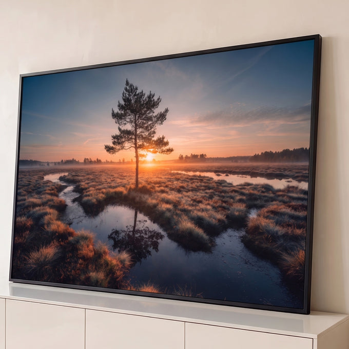 Quadro Decorativo Grande Pinheiro Solitário para Sala | quadros decorativos para sala | pinheiro solitário refletido em riacho ao nascer do sol em pântano com névoa | Porao dos Quadros