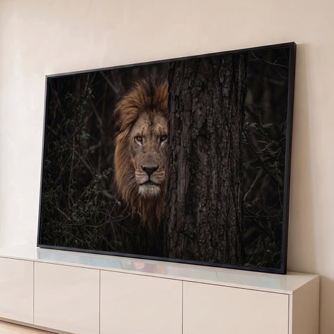 Leão de juba marrom espiando atrás de tronco de árvore em floresta escura, quadro decorativo