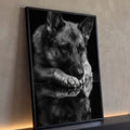 Pastor alemão deitado com a cabeça sobre as patas e reflexo em fundo preto, foto P&B, quadro decorativo