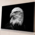 Águia de cabeça branca de perfil em fotografia preto e branco sobre fundo preto, quadro decorativo