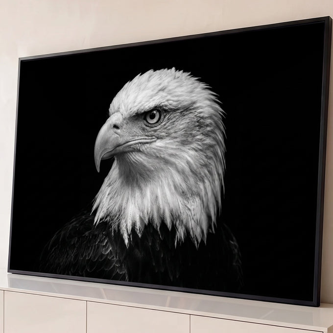 Águia de cabeça branca de perfil em fotografia preto e branco sobre fundo preto, quadro decorativo