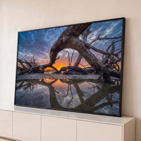 Tronco retorcido em praia ao pôr do sol, com céu azul e reflexo na água, quadro decorativo