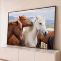 Cavalos alazões e cavalo branco com crinas ao vento e montanhas ao fundo, quadro decorativo
