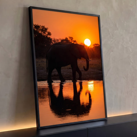 Elefante em silhueta caminhando no lago com reflexo na água ao pôr do sol laranja, quadro decorativo