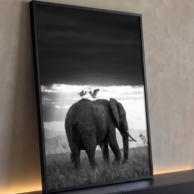 Elefante com duas garças no dorso sob céu escuro e raios de luz em preto e branco, quadro decorativo