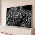 Quadro Decorativo Grande Duas Zebras para Sala Preto | quadros decorativos para sala | duas zebras entrelaçadas em preto e branco com listras detalhadas sobre fundo escuro | Porao dos Quadros