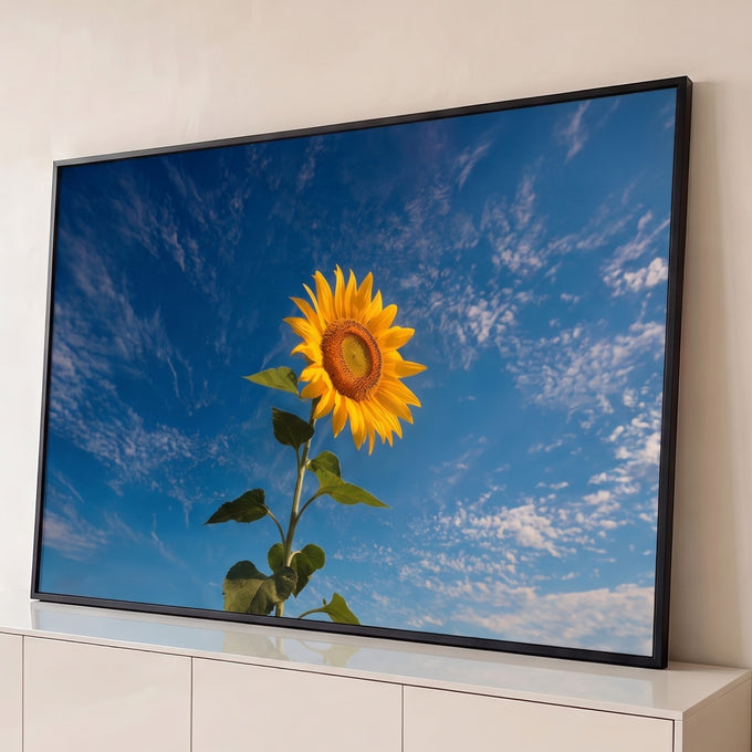 Quadro Decorativo Grande Girassol em Campo para Sala Amarelo | quadros decorativos para sala | girassol em destaque contra céu azul com campo de girassóis ao fundo | Porao dos Quadros