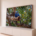 Casal de araras-azuis abraçadas em galho de árvore entre folhagem verde e flores amarelas, quadro decorativo