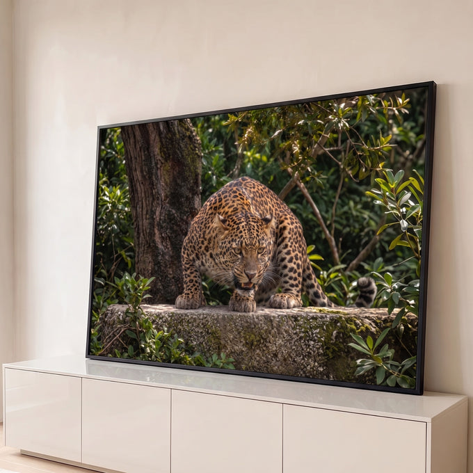 Quadro Decorativo Grande Leopardo Rosnando para Sala Verde | quadros decorativos para sala | leopardo agachado numa rocha com boca aberta em meio à floresta verde | Porao dos Quadros