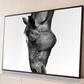Foto em preto e branco da cabeça de um cavalo inclinada, em close, sobre fundo claro, quadro decorativo