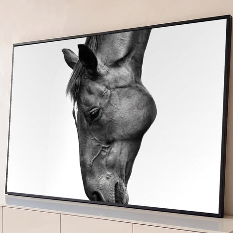 Foto em preto e branco da cabeça de um cavalo inclinada, em close, sobre fundo claro, quadro decorativo