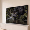 Pantera negra de olhos amarelos agachada à beira de riacho entre pedras com musgo, quadro decorativo