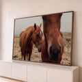 Dois cavalos alazões de crina dourada, um em close, em campo seco com neblina, quadro decorativo