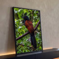 Pássaro de cabeça preta, olho vermelho e corpo castanho pousado em galho na mata verde, quadro decorativo