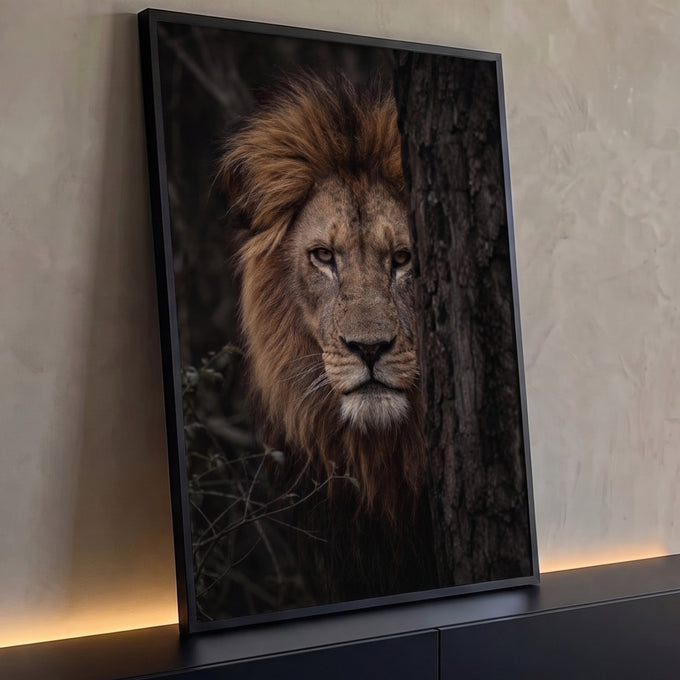 Quadro Decorativo Grande Leão Escondido para Sala Marrom | quadros decorativos para sala | leão com juba dourada espreitando atrás de um tronco de árvore, olhar fixo | Porao dos Quadros