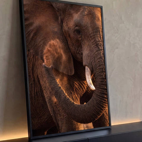 Quadro Decorativo Grande Elefante Jogando para Sala Marrom | quadros decorativos para sala | close de elefante com poeira subindo pela orelha e luz dourada de fim de tarde | Porao dos Quadros