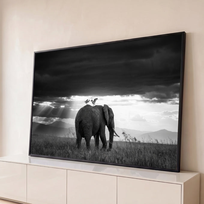 Elefante com duas garças nas costas sob céu escuro e raios de luz na savana, quadro decorativo