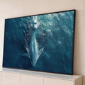 Quadro Decorativo Grande Tubarão Baleia Azul para Sala | quadros decorativos para sala | vista aérea de tubarão-baleia nadando perto de uma lancha no oceano azul | Porao dos Quadros