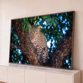 Leopardo com olhar fixo entre troncos de árvore, com folhagem e luz azul desfocada, quadro decorativo