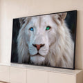 Close de leão branco com um olho azul e outro verde, juba volumosa e fundo escuro, quadro decorativo