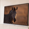 Zebra em close com listras preto e branco iluminada pelo pôr do sol na savana, quadro decorativo