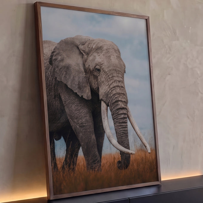 Elefante africano de presas longas em pé no capim dourado da savana sob céu nublado, quadro decorativo